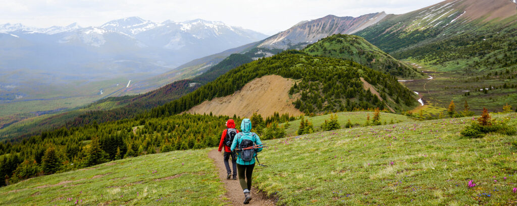 Hiken in de Opal Hills