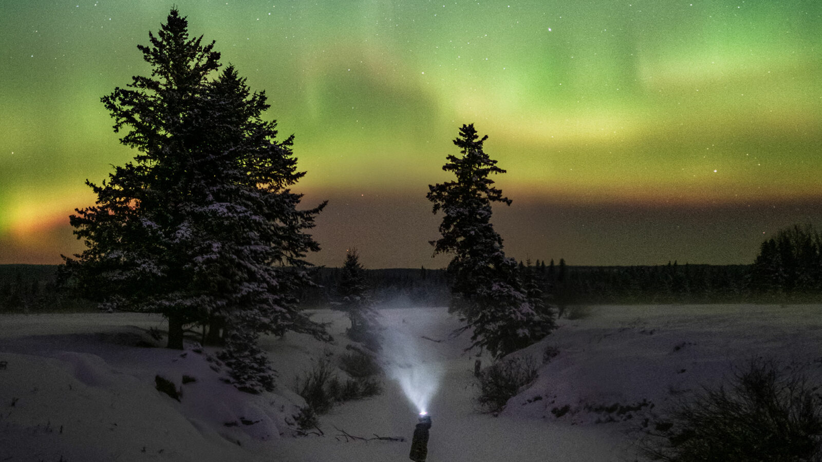 Noorderlicht in de winter | © Justin Olsvik
