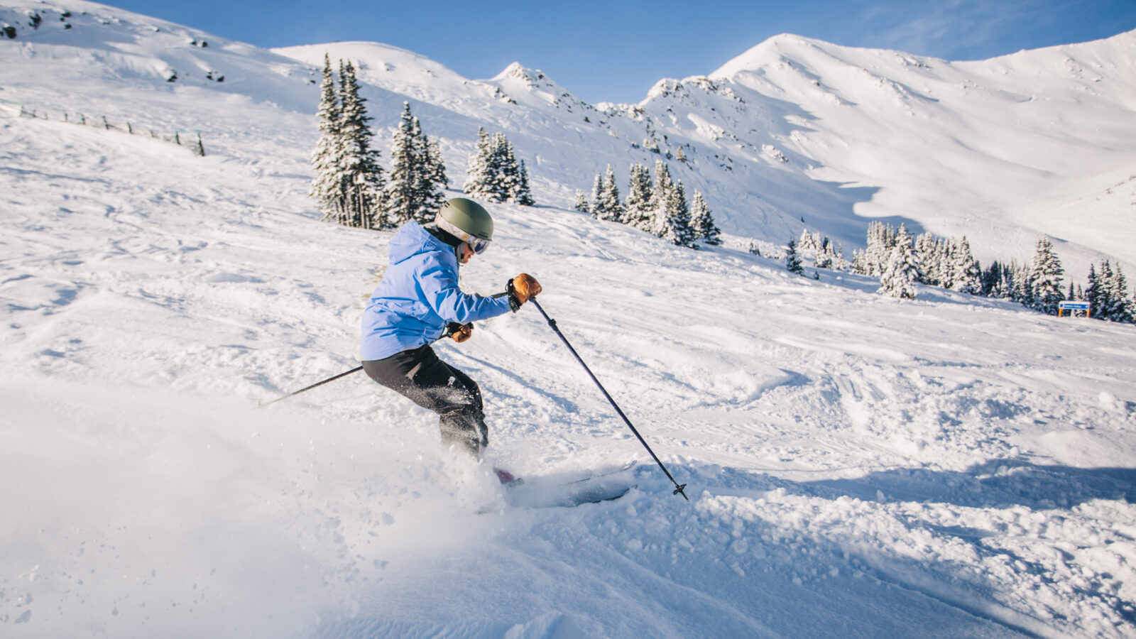 Jasper - Marmot Basin